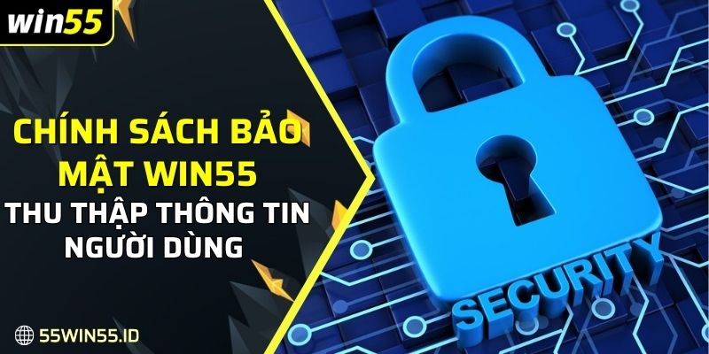 Thu thập dữ liệu người dùng là điều không thể thiếu