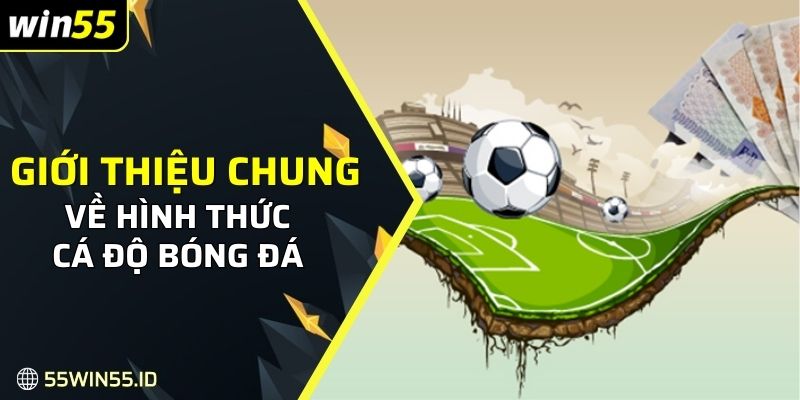 Giới thiệu chung về hình thức cá độ bóng đá