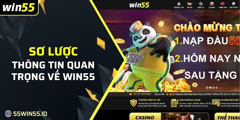 Sơ lược một vài thông tin quan trọng về Win55